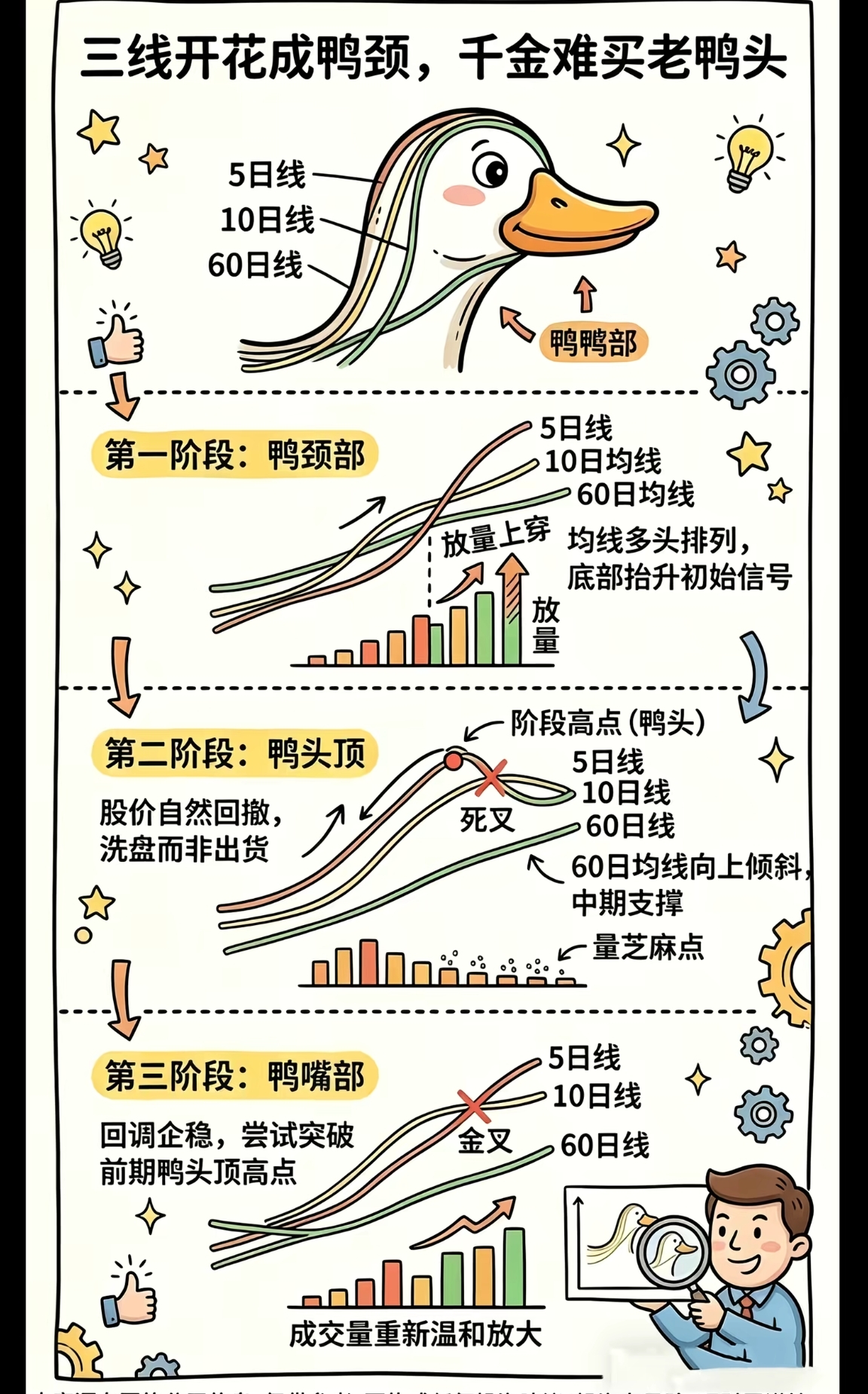 老鸭头技术形态.jpg 老鸭头技术形态.jpg